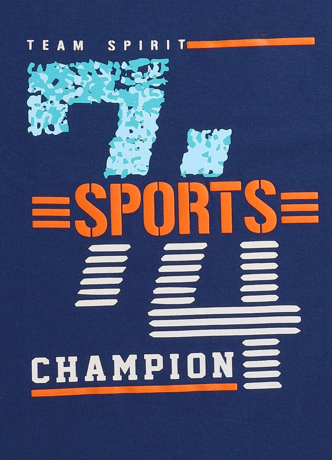 sports champion cotton t-shirt for boys