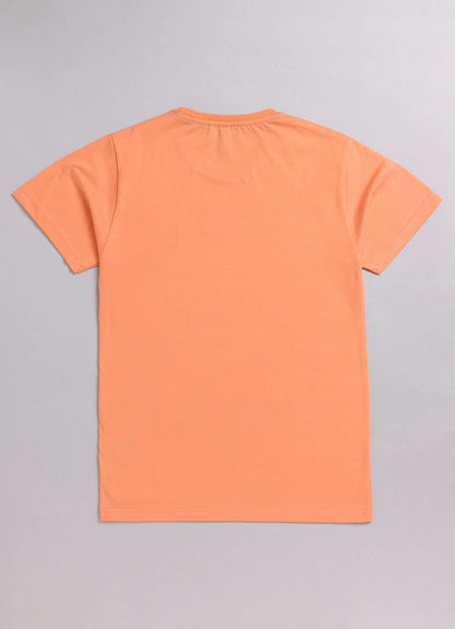 sports champion cotton t-shirt for boys