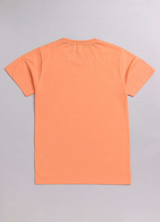 sports champion cotton t-shirt for boys